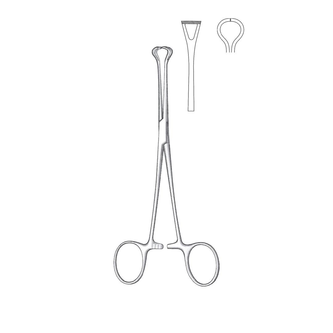 BABCOCK TISSUE AND ORGAN HOLDING FORCEPs