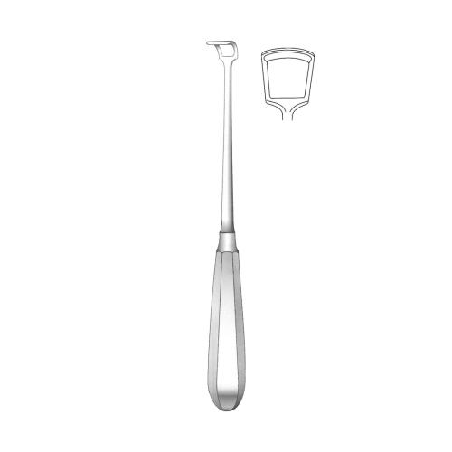 BECKMANN RHINOLOGY