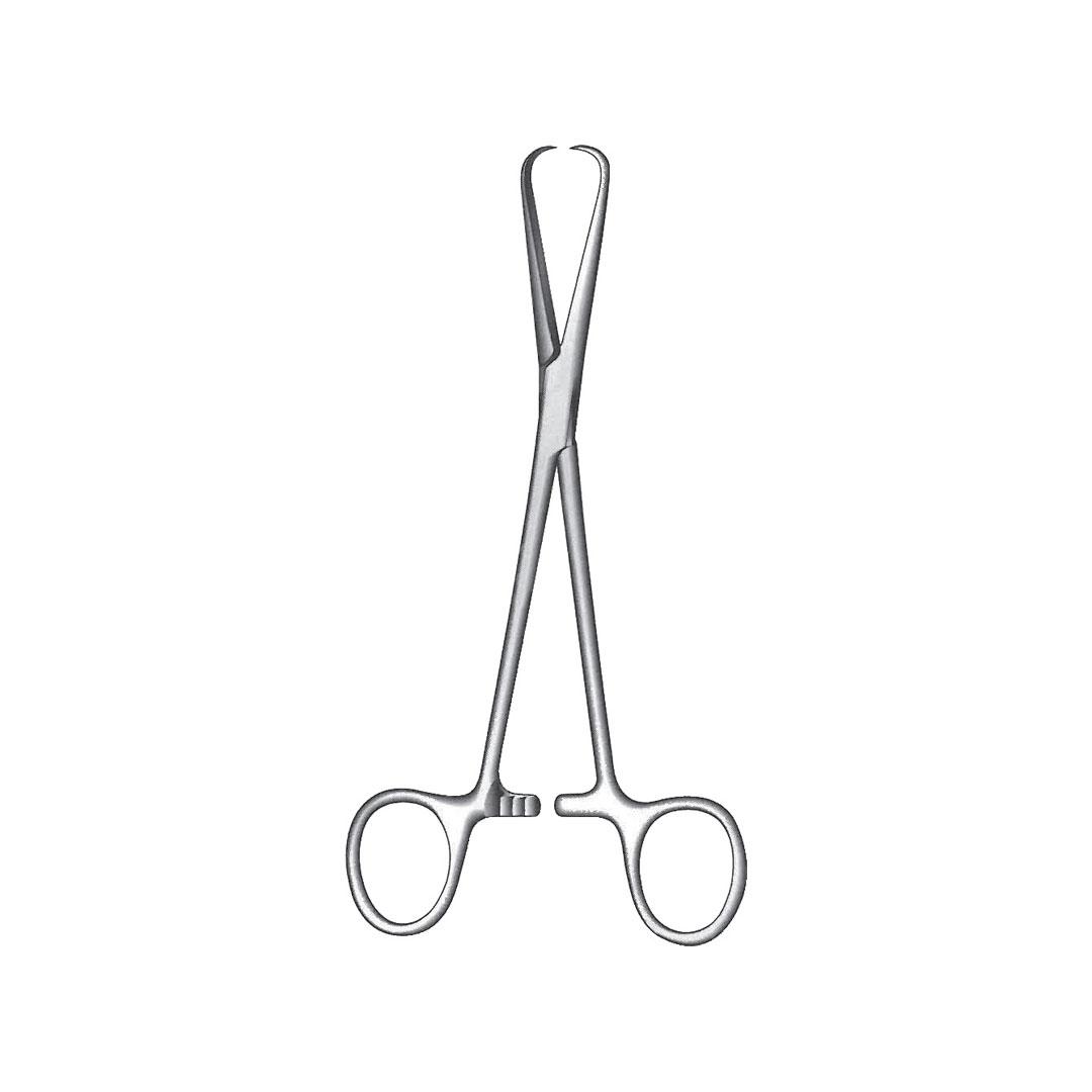 BERNHARD TOWEL FORCEPS
