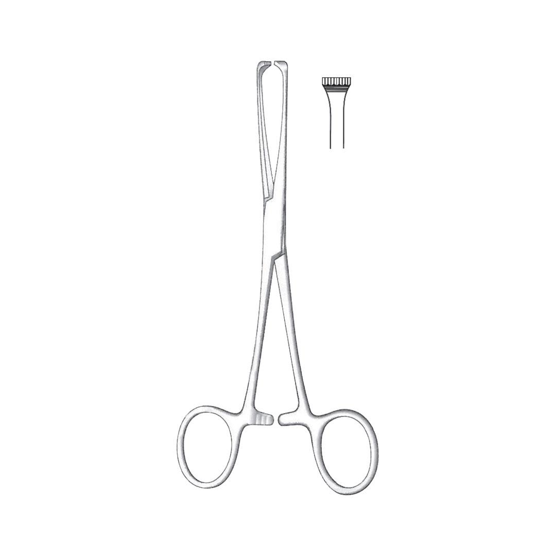 BOYS-ALLIS TISSUE AND ORGAN HOLDING FORCEPS 7:8 TEETH