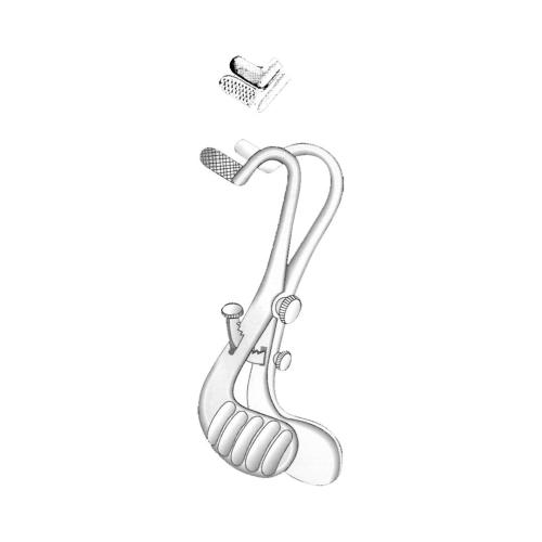 BUXTON ORAL INSTRUMENTS Parallel  jaws