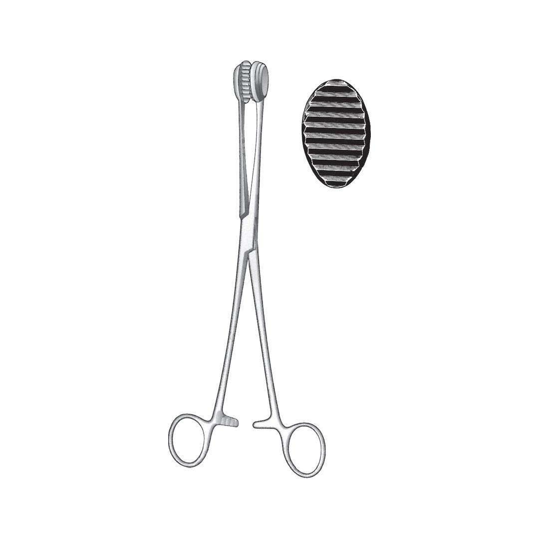 CHILD TISSUE AND ORGAN HOLDING FORCEPS