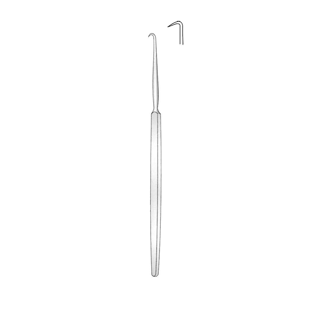 COTTLE RHINOLOGY 