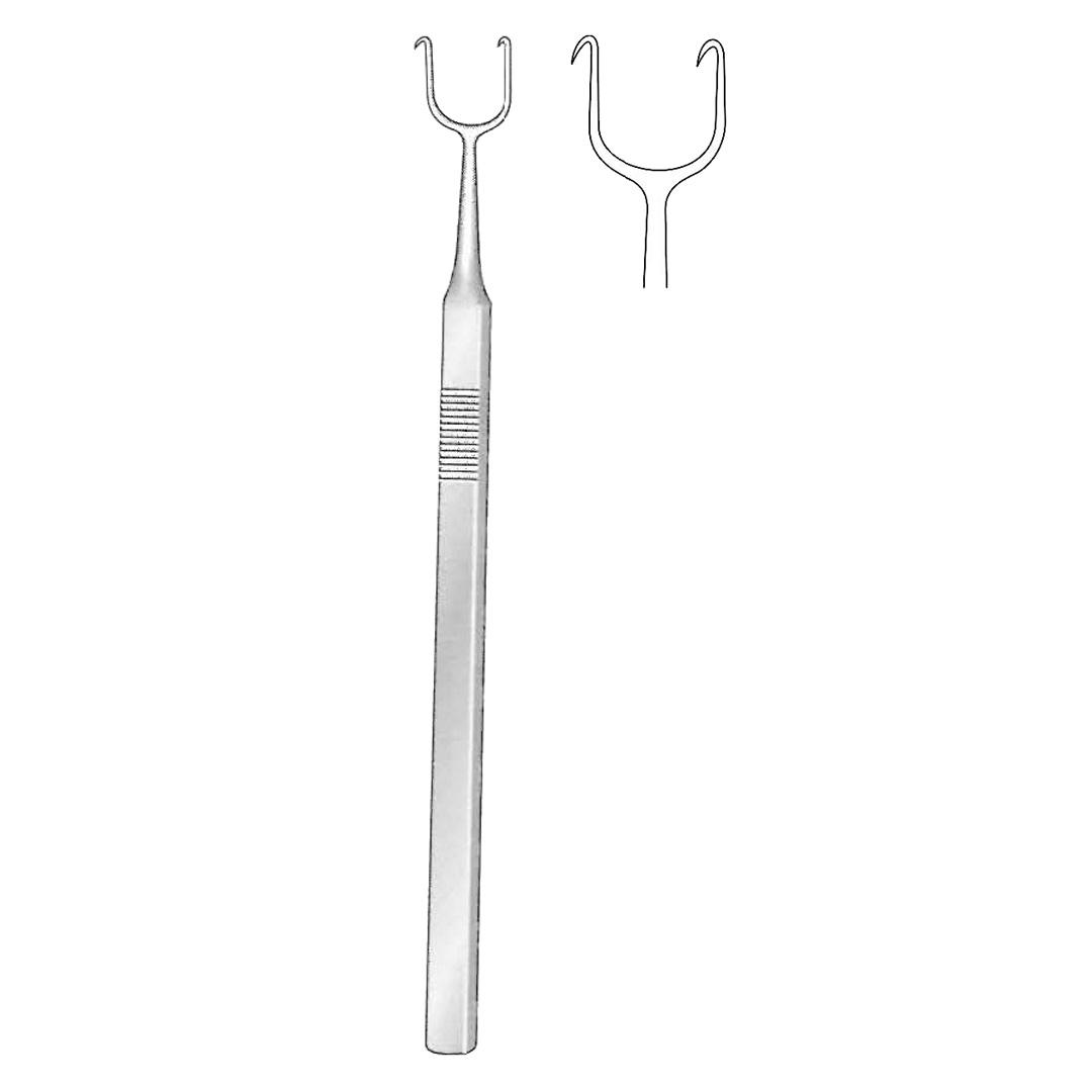 COTTLE RHINOLOGY