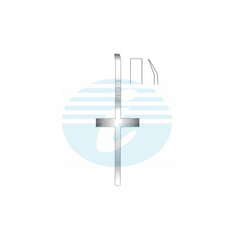 COTTLE RHINOLOGY 