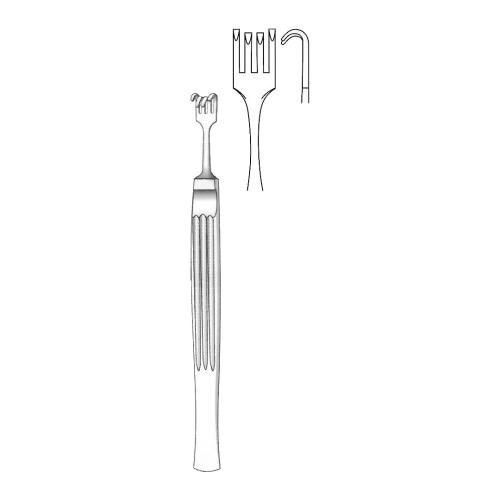 COTTLE RHINOLOGY Alar hooklets