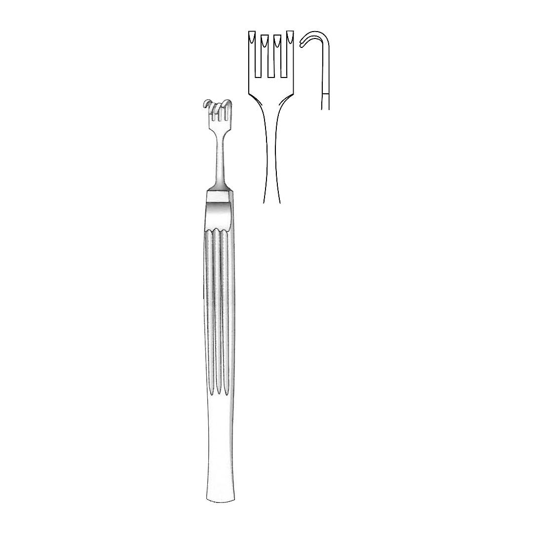 COTTLE RHINOLOGY Alar hooklets