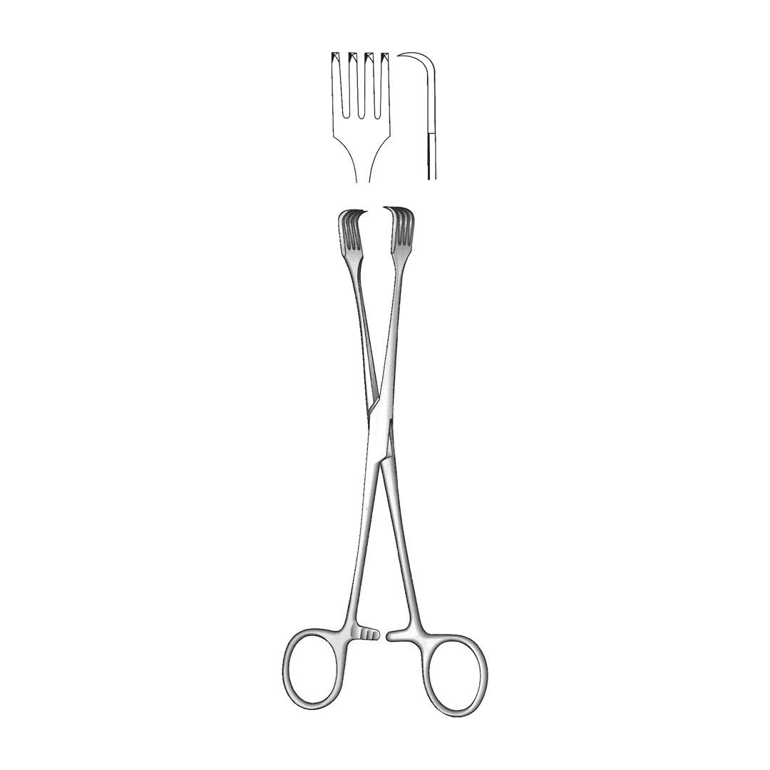 CZERNY TENACULUM FORCEPS