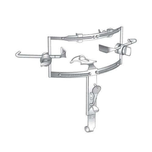 DINGMANN ORAL INSTRUMENTS