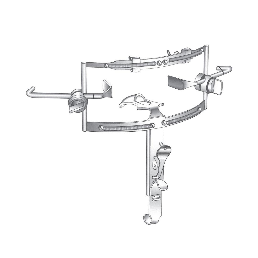 DINGMANN ORAL INSTRUMENTS
