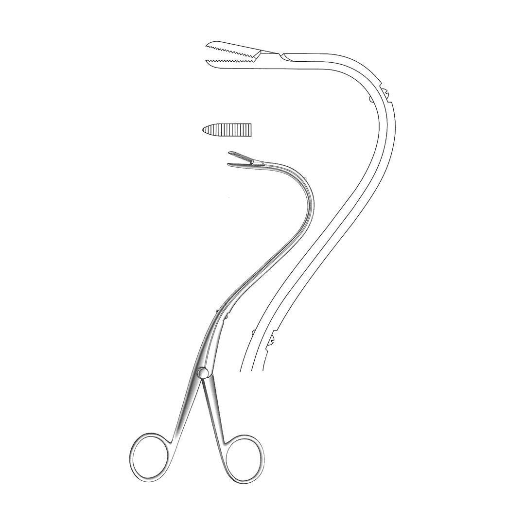 ELSASSER NEPHROSTOMY FORCEPS