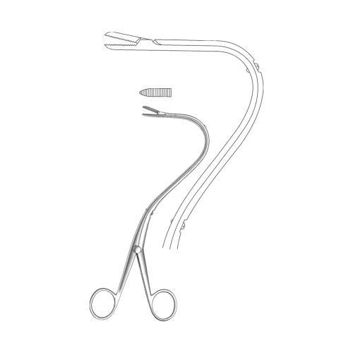 ELSASSER NEPHROSTOMY FORCEPS
