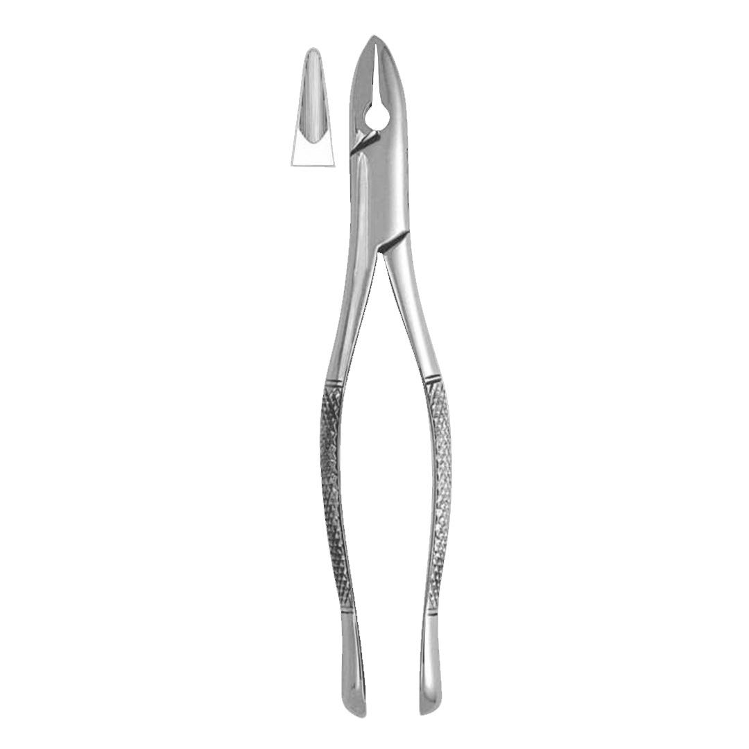 Extracting Forceps #1STD Winter upper centrals and canines
