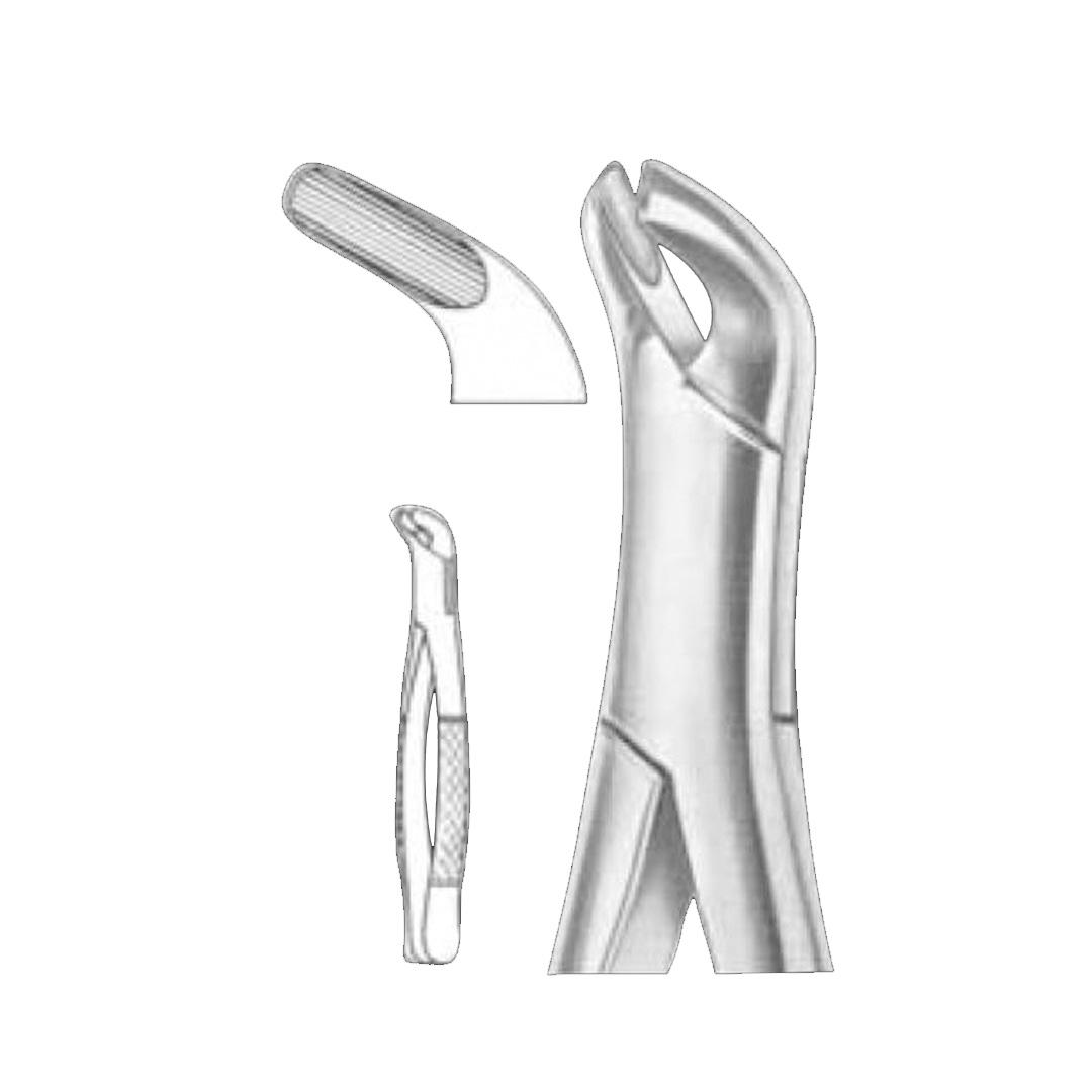 Extracting Forceps #27 Lower molars 