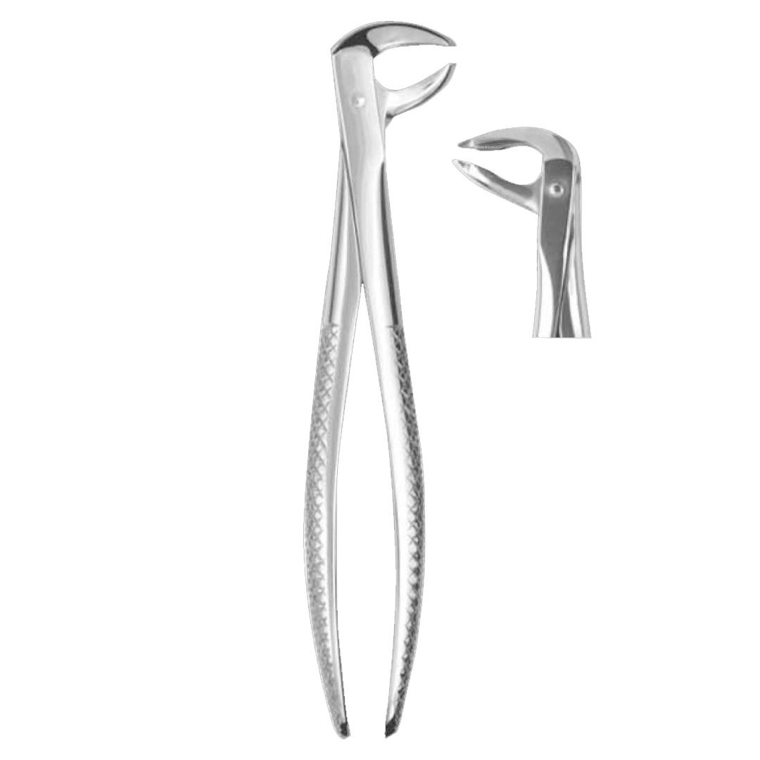 Extracting Forceps #336 Lower premolars deep-gripping