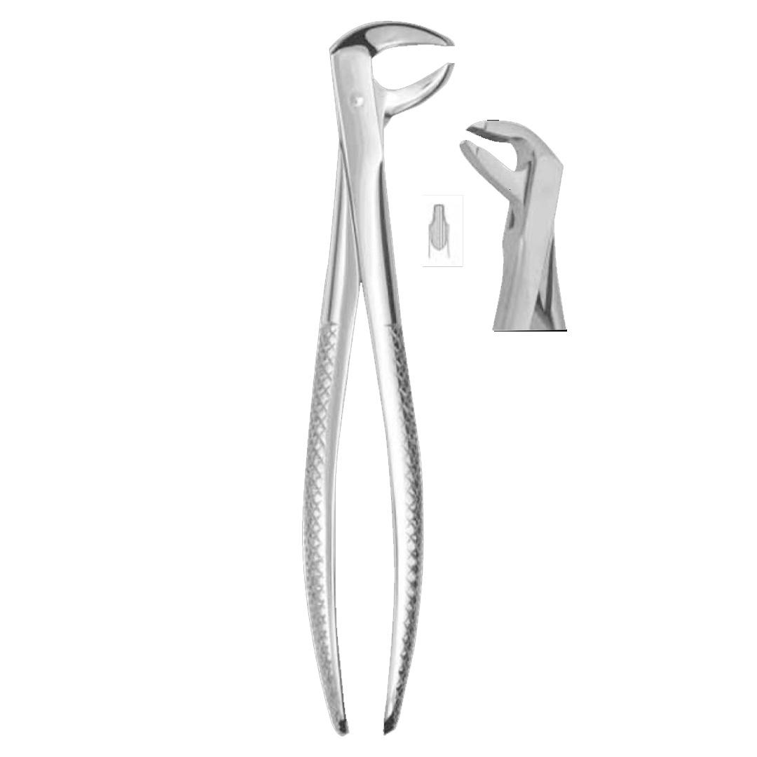 Extracting Forceps #36 Lower premolars deep-gripping