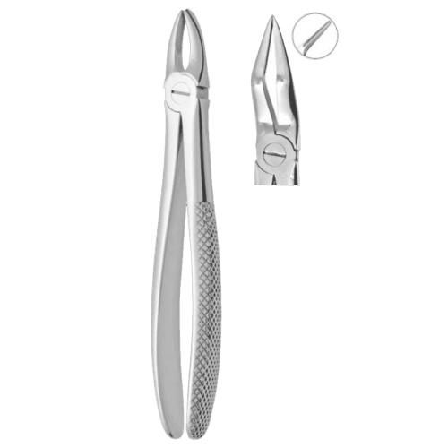 Extracting Forceps #51AL
