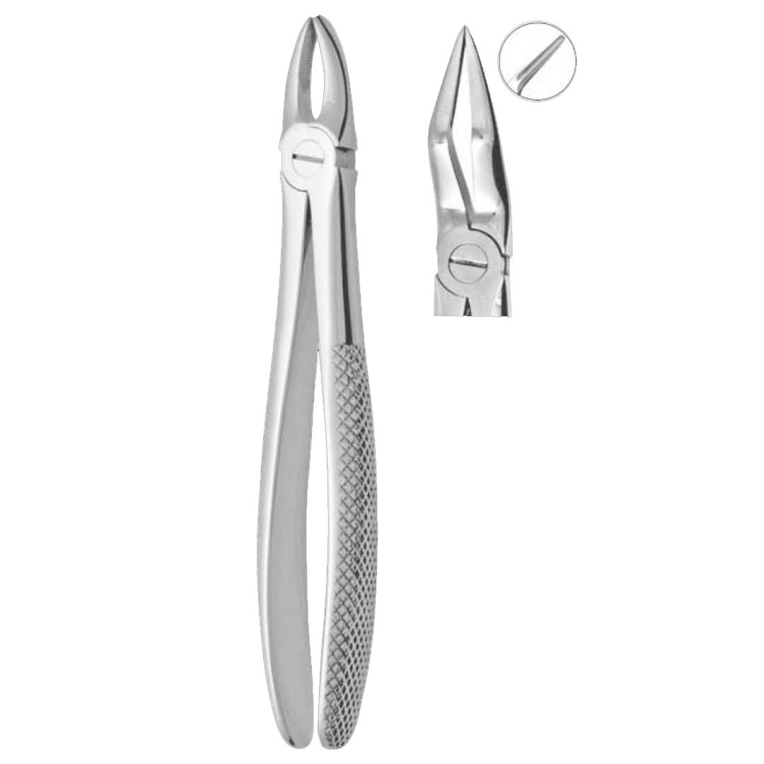 Extracting Forceps #51AL