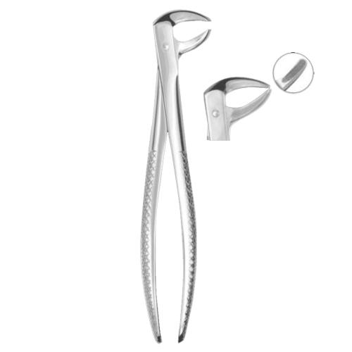 Extracting Forceps #75 Lower Premolars