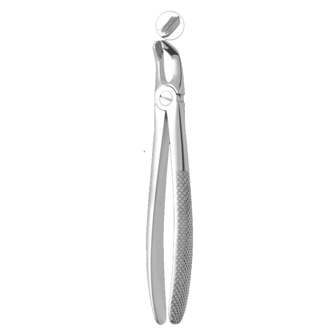 Extracting Forceps #79 Lower Third Molars
