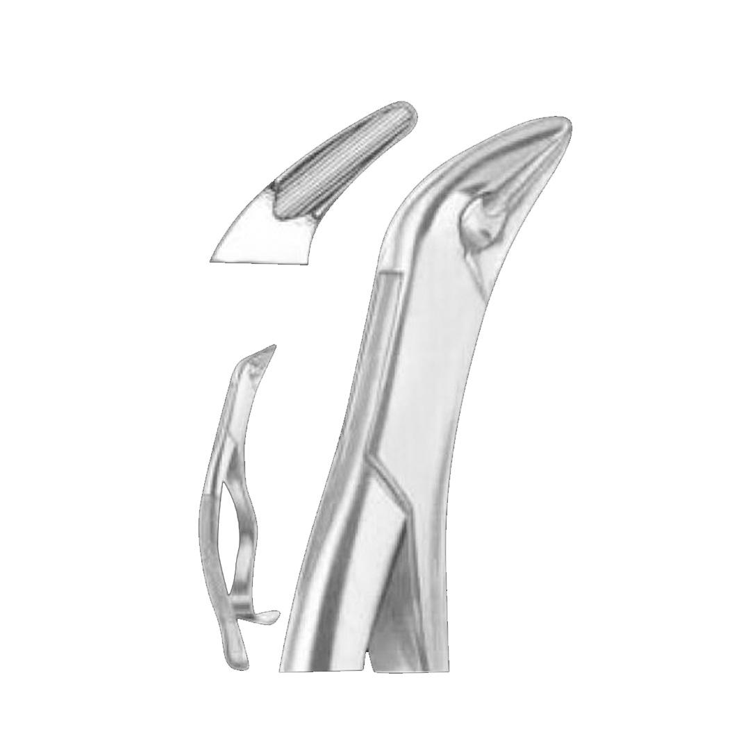 Extracting Forceps #85 Tomas lower canines premolars and molars 