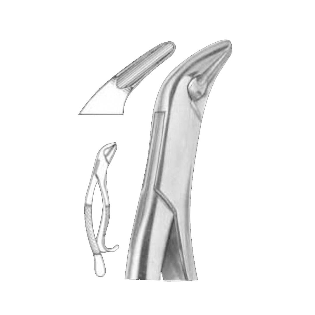 Extracting Forceps #85A Tomas lower canines premolars and molars 