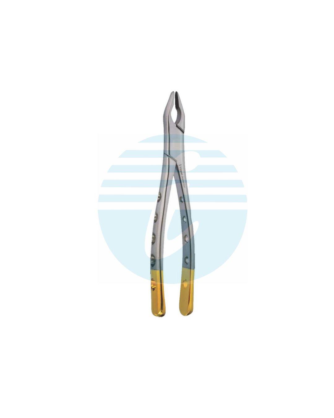 Extracting Forceps Fig. 1 Upper Anterior