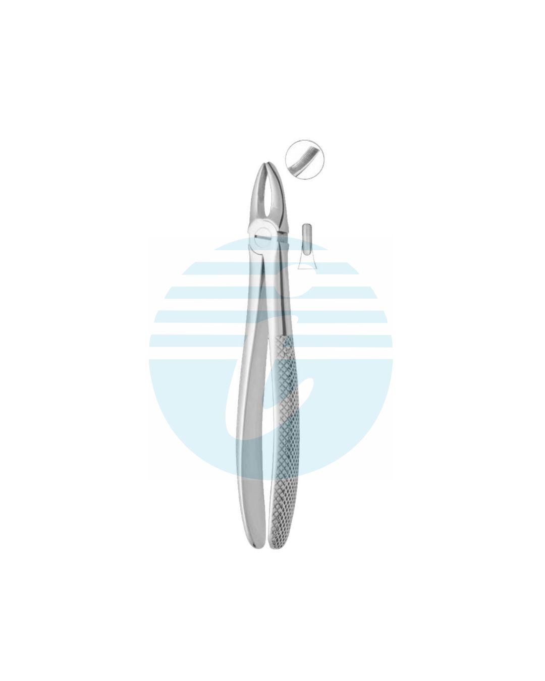 Extracting Forceps Fig. 1 Upper Centrals and Canines