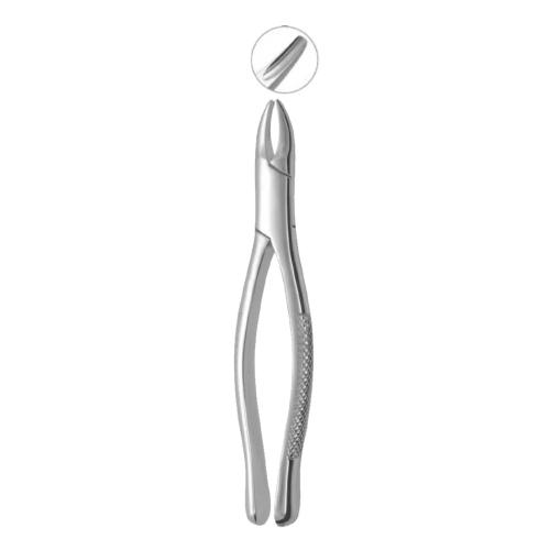 Extracting Forceps Fig. 1 Upper incisors and roots
