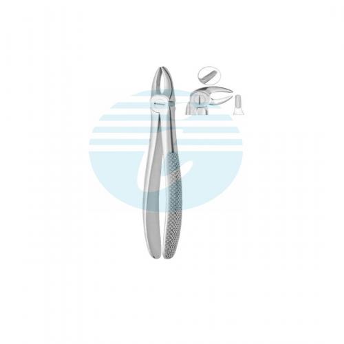 Extracting Forceps Fig. 13 Lower Premolars