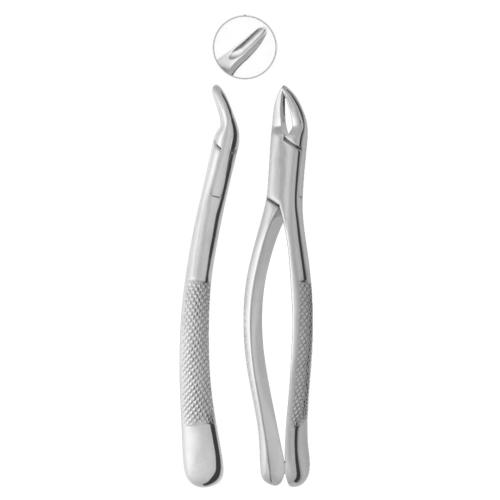 Extracting Forceps Fig. 150 Cryer