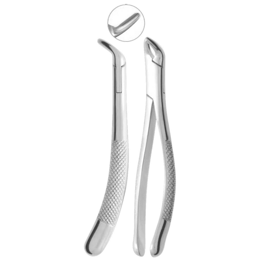 Extracting Forceps Fig. 151 S Lower incisors premolars roots