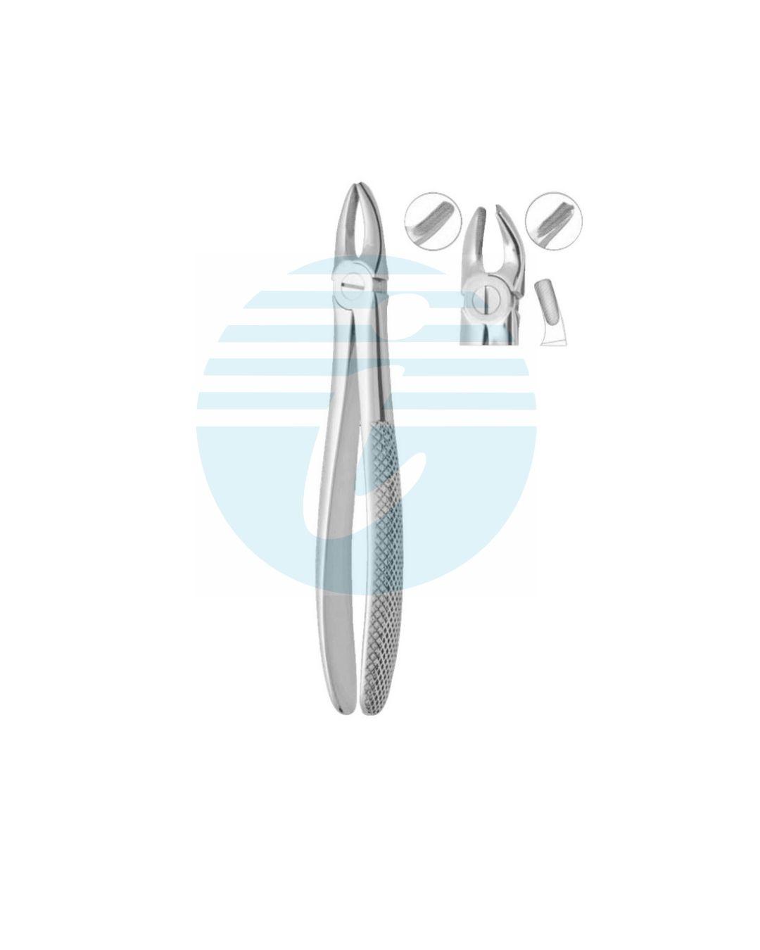 Extracting Forceps Fig. 18 Upper Molars Left
