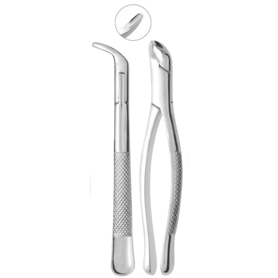 Extracting Forceps Fig. 203 Lower incisors and roots