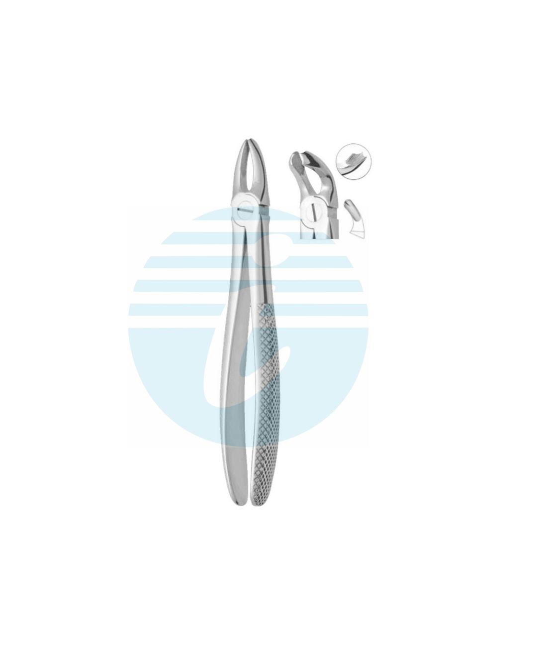 Extracting Forceps Fig. 21 Lower Molar
