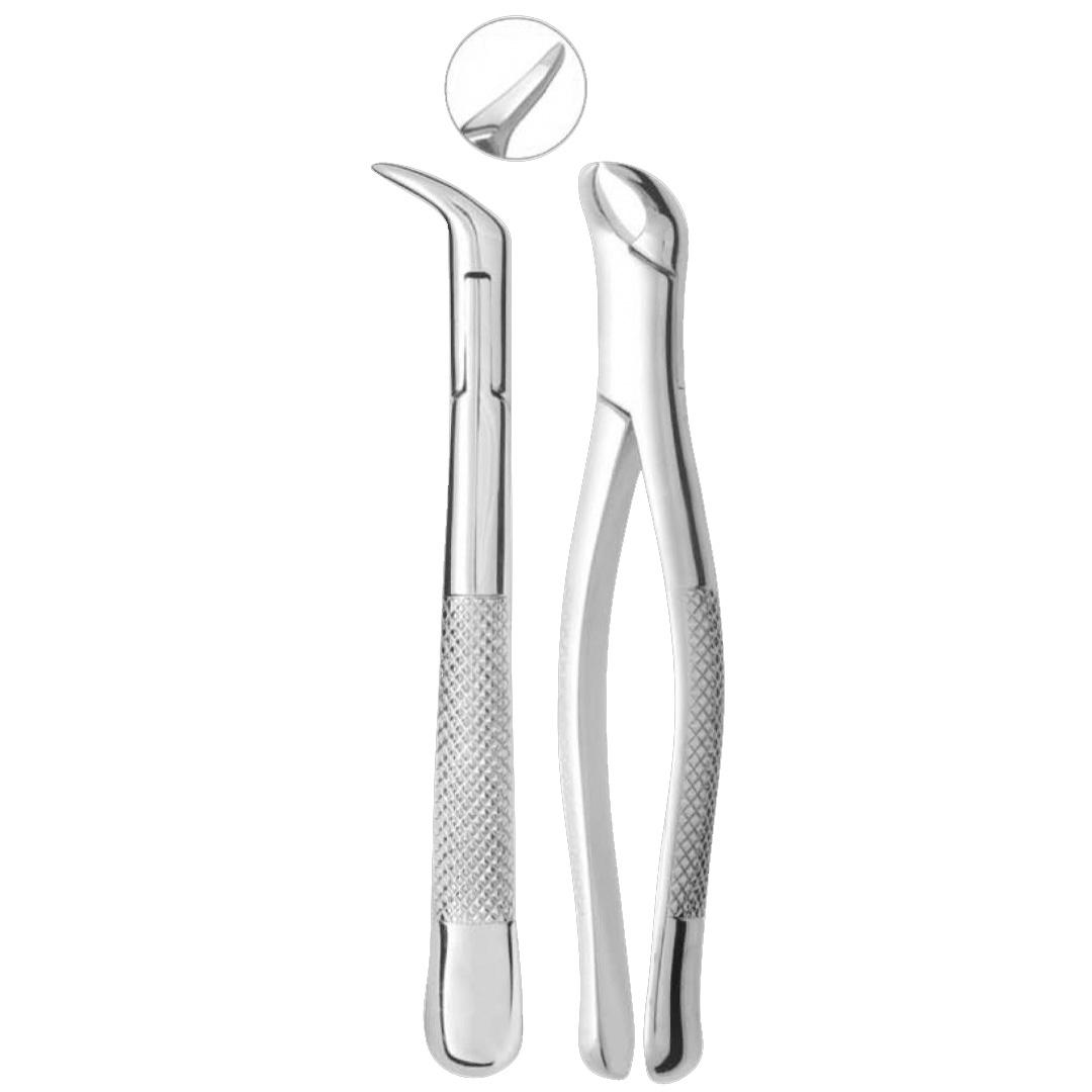 Extracting Forceps Fig. 23 Lower Molars