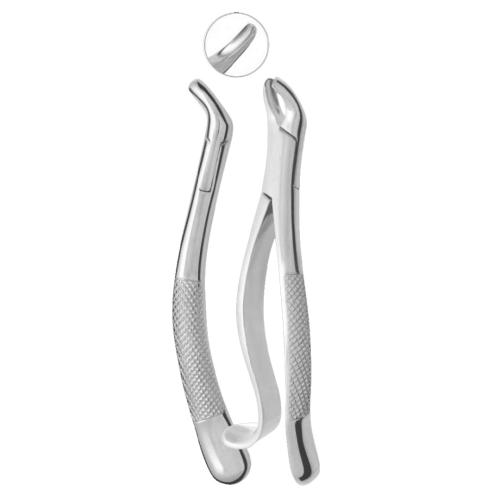 Extracting Forceps Fig. 24 Upper Molars