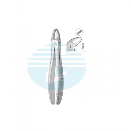 Extracting Forceps Fig. 4 Lower Incisors and Canines