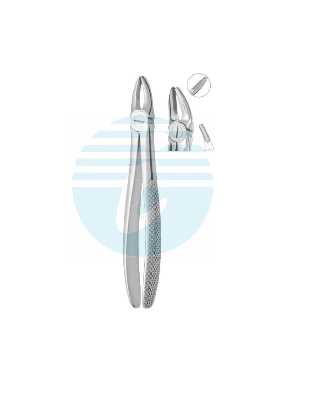 Extracting Forceps Fig. 7 Upper Premolars