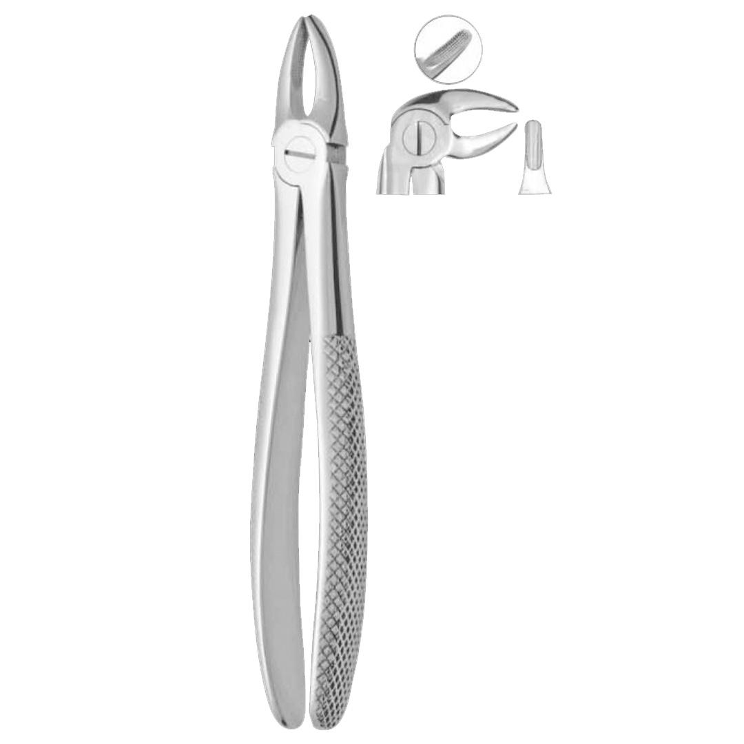 Extracting Forceps Fig. 13 Lower Premolars
