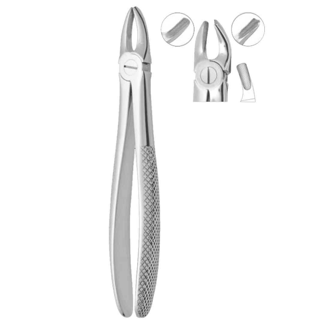 Extracting Forceps Fig. 18 Upper Molars Left