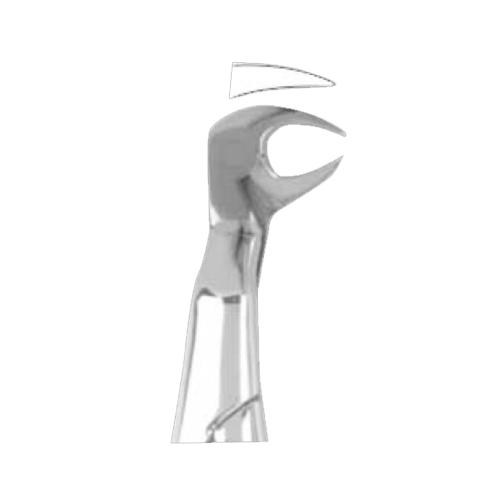 Extracting Forceps Fig. 186L Lower Molars