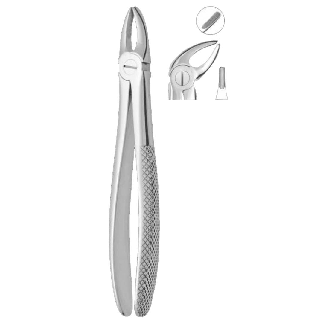 Extracting Forceps Fig. 4 Lower Incisors and Canines