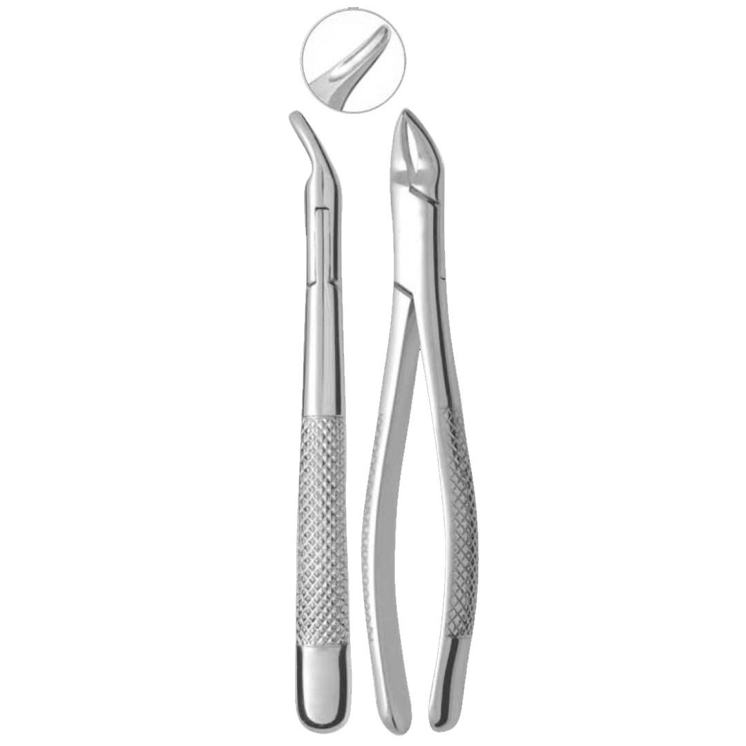 Extracting Forceps Hull Fig. 101 Deciduous teeth