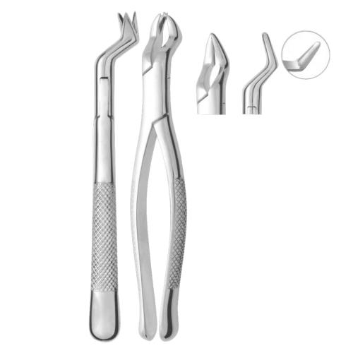 Extracting Forceps Parmly Fig. 32 Upper premolars and molars