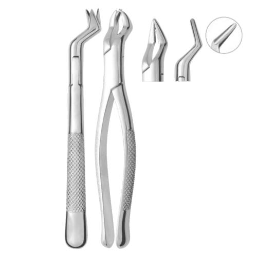 Extracting Forceps Parmly Fig. 32A Upper premolars and roots
