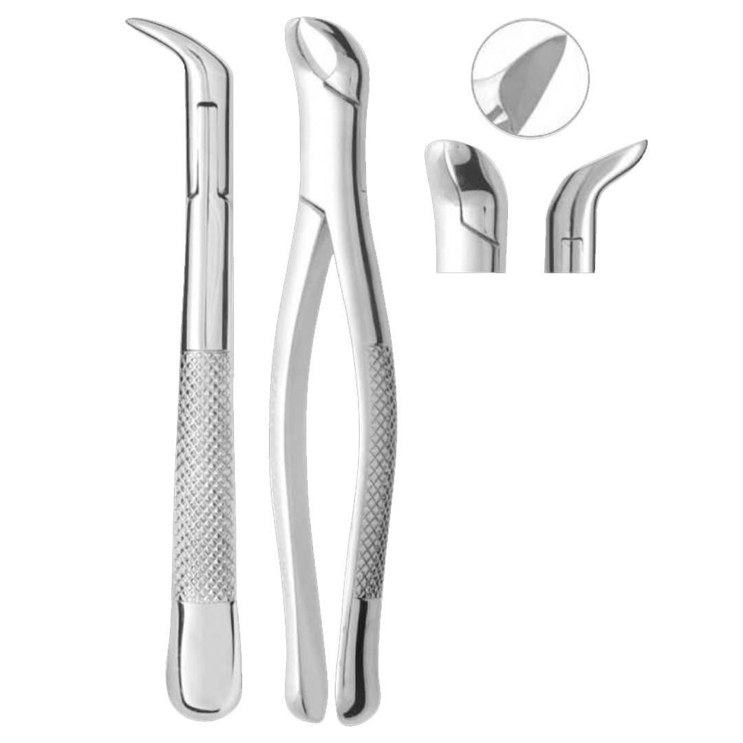 Extracting Forceps Physic Fig. 5 Lower Third Molars