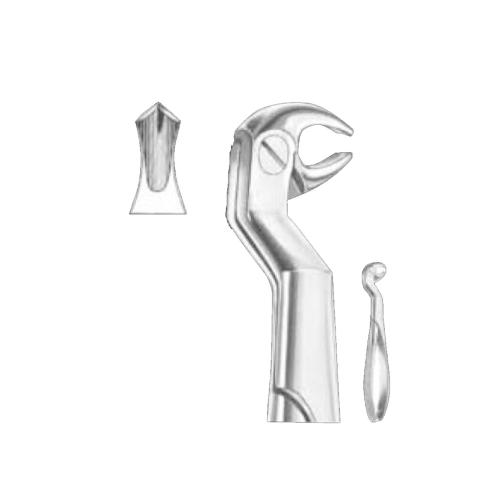 Extracting Forceps Routurier (#22 1/2R) lower molars and wisdoms right