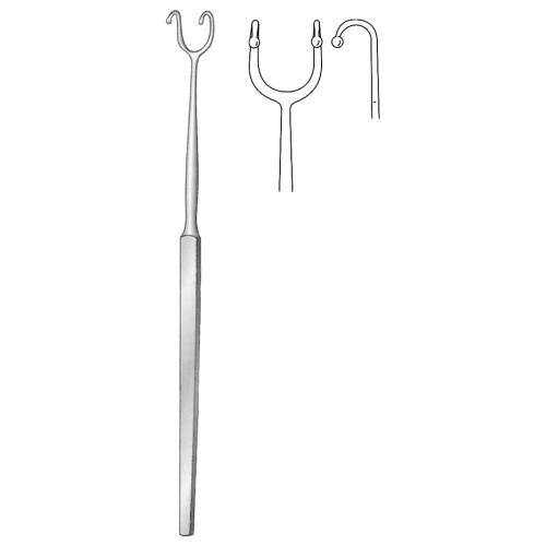 FOMON RHINOLOGY