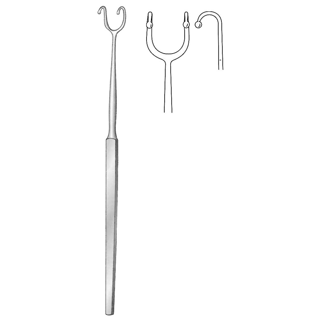 FOMON RHINOLOGY